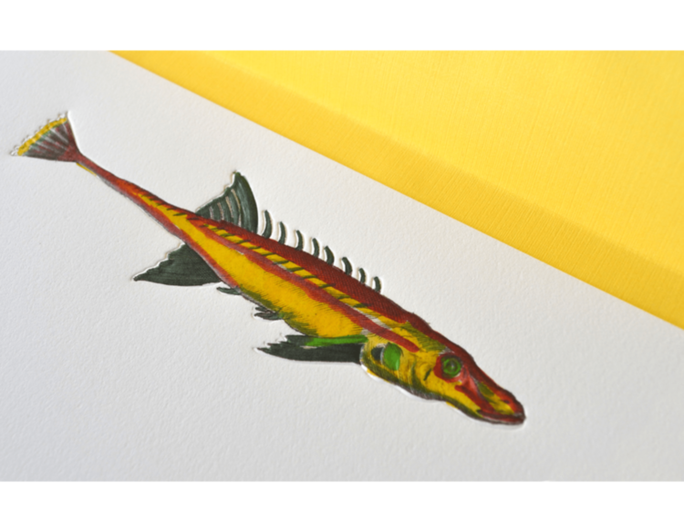 Lost Fish Notecards ASSOULINE