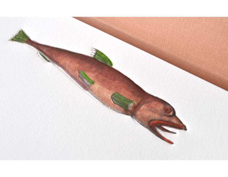 Lost Fish Notecards ASSOULINE
