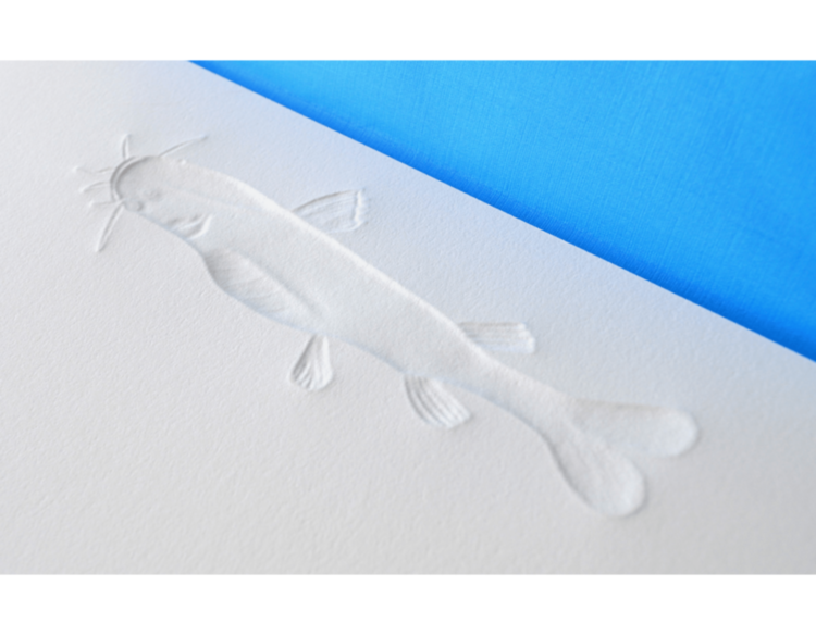 Lost Fish Notecards ASSOULINE
