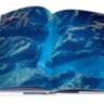 Gaia ASSOULINE