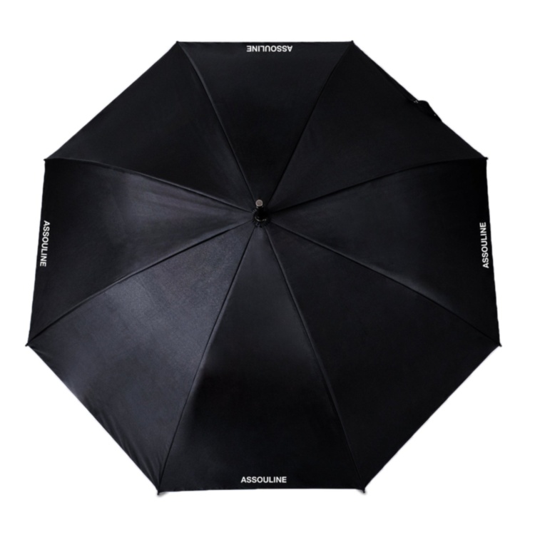 The Umbrella Library ASSOULINE