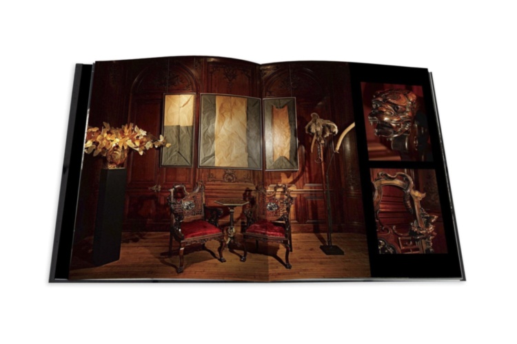 Le Cabinet de Curiosites ASSOULINE