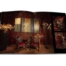 Le Cabinet de Curiosites ASSOULINE