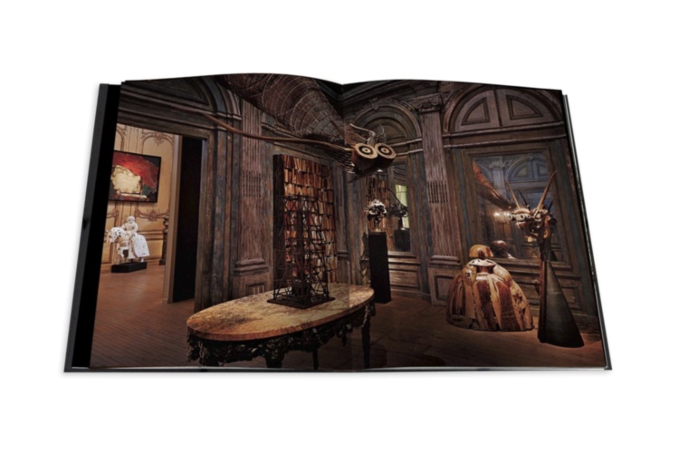 Le Cabinet de Curiosites ASSOULINE