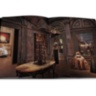 Le Cabinet de Curiosites ASSOULINE