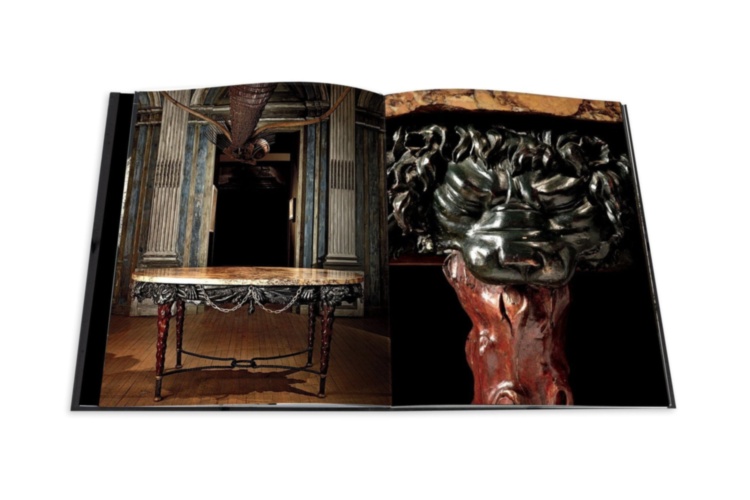 Le Cabinet de Curiosites ASSOULINE