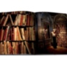 Le Cabinet de Curiosites ASSOULINE