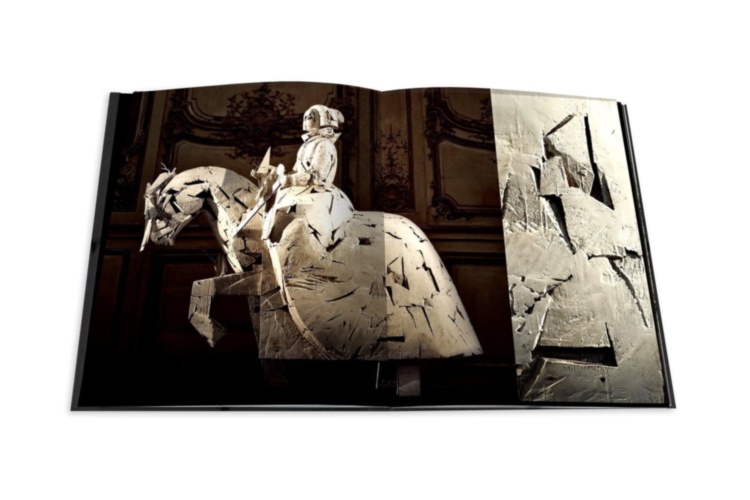 Le Cabinet de Curiosites ASSOULINE
