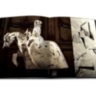 Le Cabinet de Curiosites ASSOULINE