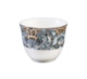 Palazzo Pitti Arabic Cup