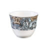 Palazzo Pitti Arabic Cup