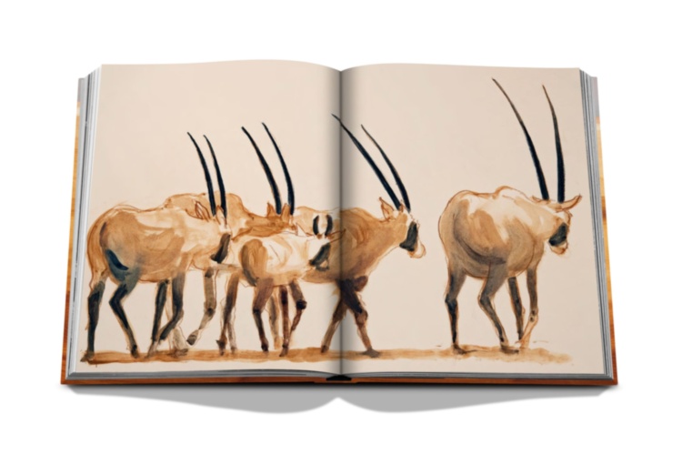 The Mysterious Desert of The Empty Quarter ASSOULINE