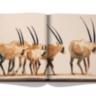 The Mysterious Desert of The Empty Quarter ASSOULINE