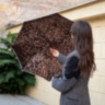 Leopard Print Olive Green Umbrella With Ruched Leather Handle Pasotti