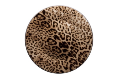 Jaguar Charger Plate
