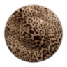 Jaguar Charger Plate