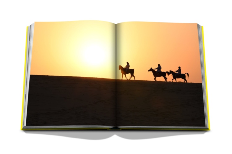 Saudi Arabia: Al-Ahsa Oasis ASSOULINE