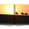 Saudi Arabia: Al-Ahsa Oasis ASSOULINE