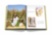 Saudi Arabia: Al-Ahsa Oasis ASSOULINE