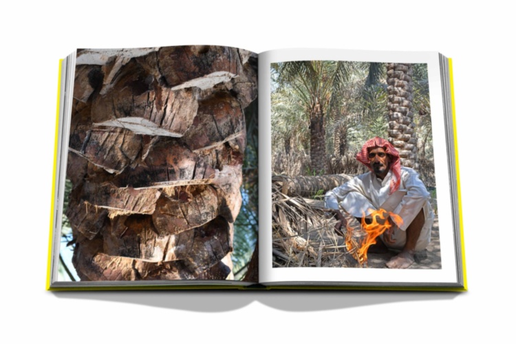 Saudi Arabia: Al-Ahsa Oasis ASSOULINE