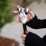 French Bulldog Umbrella, Woman Pasotti