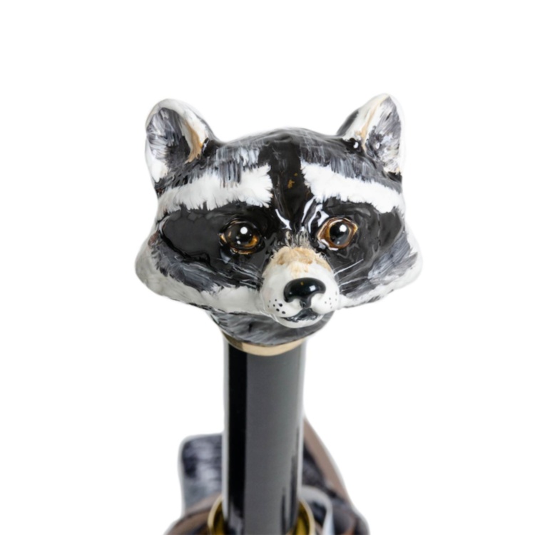 Raccoon Umbrella Pasotti