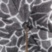 Raccoon Umbrella Pasotti