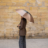 Raccoon Umbrella Pasotti