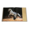Arabian Horses - The World of Animal Arabian Stud ASSOULINE 1