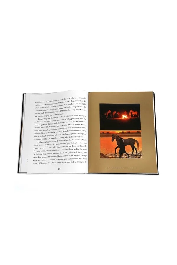 Arabian Horses - The World of Animal Arabian Stud ASSOULINE 1