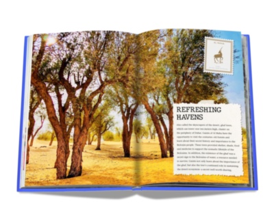 The Luxury Collection: Hotel Secrets ASSOULINE