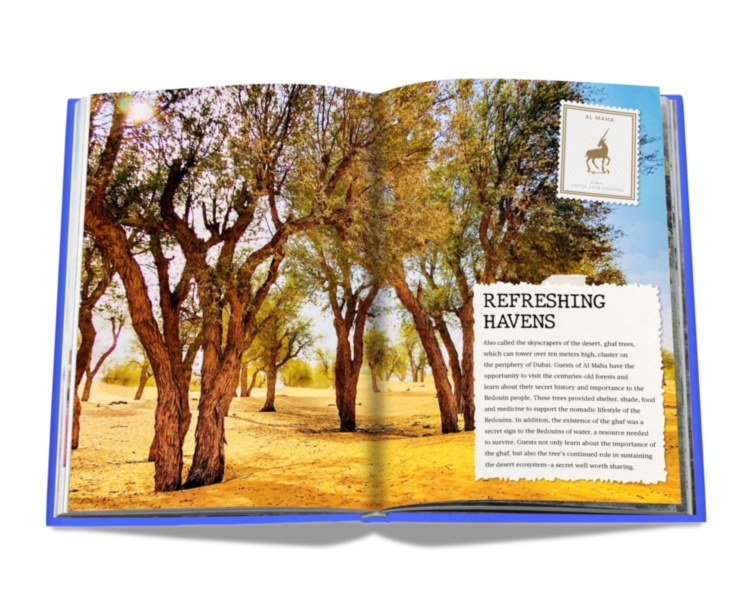 The Luxury Collection: Hotel Secrets ASSOULINE