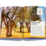 The Luxury Collection: Hotel Secrets ASSOULINE