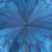 Luxury Blue Dahlia Umbrella, Double Cloth Pasotti