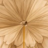 Brown Dahlia Umbrella, Double Cloth Pasotti