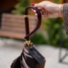 Brown Dahlia Umbrella, Double Cloth Pasotti