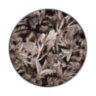 TROPICAL JUNGLE BLACK Limited Edition Charger Plate