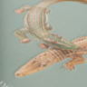 THE IMPOSSIBLE COLLECTION OF JEWELRY ASSOULINE