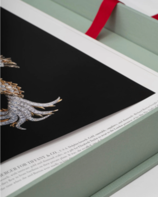THE IMPOSSIBLE COLLECTION OF JEWELRY ASSOULINE