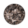 TROPICAL JUNGLE BLACK Limited Edition Bread Plate