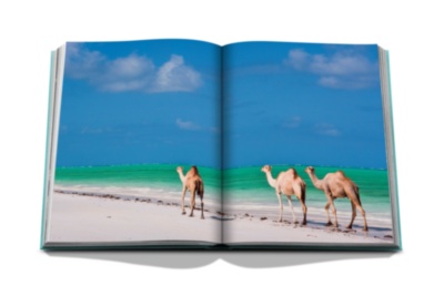 Saudi Arabia: Red Sea, The Saudi Coast ASSOULINE