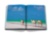 Saudi Arabia: Red Sea, The Saudi Coast ASSOULINE