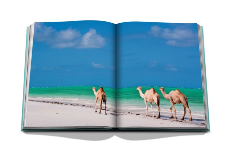 Saudi Arabia: Red Sea, The Saudi Coast ASSOULINE