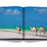 Saudi Arabia: Red Sea, The Saudi Coast ASSOULINE