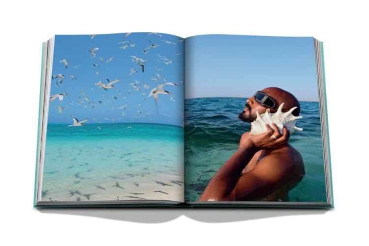 Saudi Arabia: Red Sea, The Saudi Coast ASSOULINE