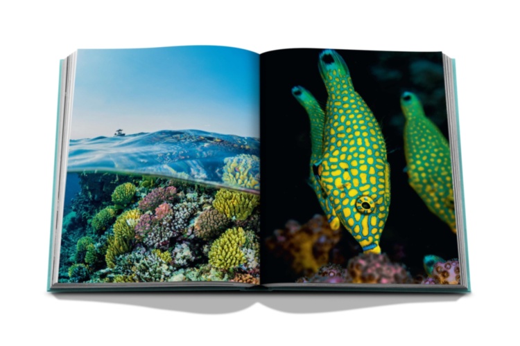 Saudi Arabia: Red Sea, The Saudi Coast ASSOULINE