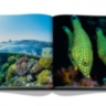 Saudi Arabia: Red Sea, The Saudi Coast ASSOULINE