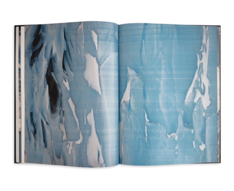 Gondwana - Images of an Ancient Land ASSOULINE