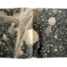 Gondwana - Images of an Ancient Land ASSOULINE