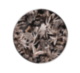 TROPICAL JUNGLE BLACK Limited Edition Dessert Plate